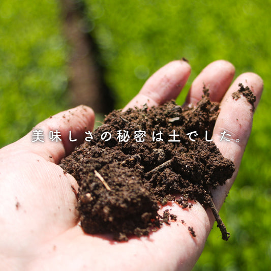 坂元園のこだわりの栽培方法