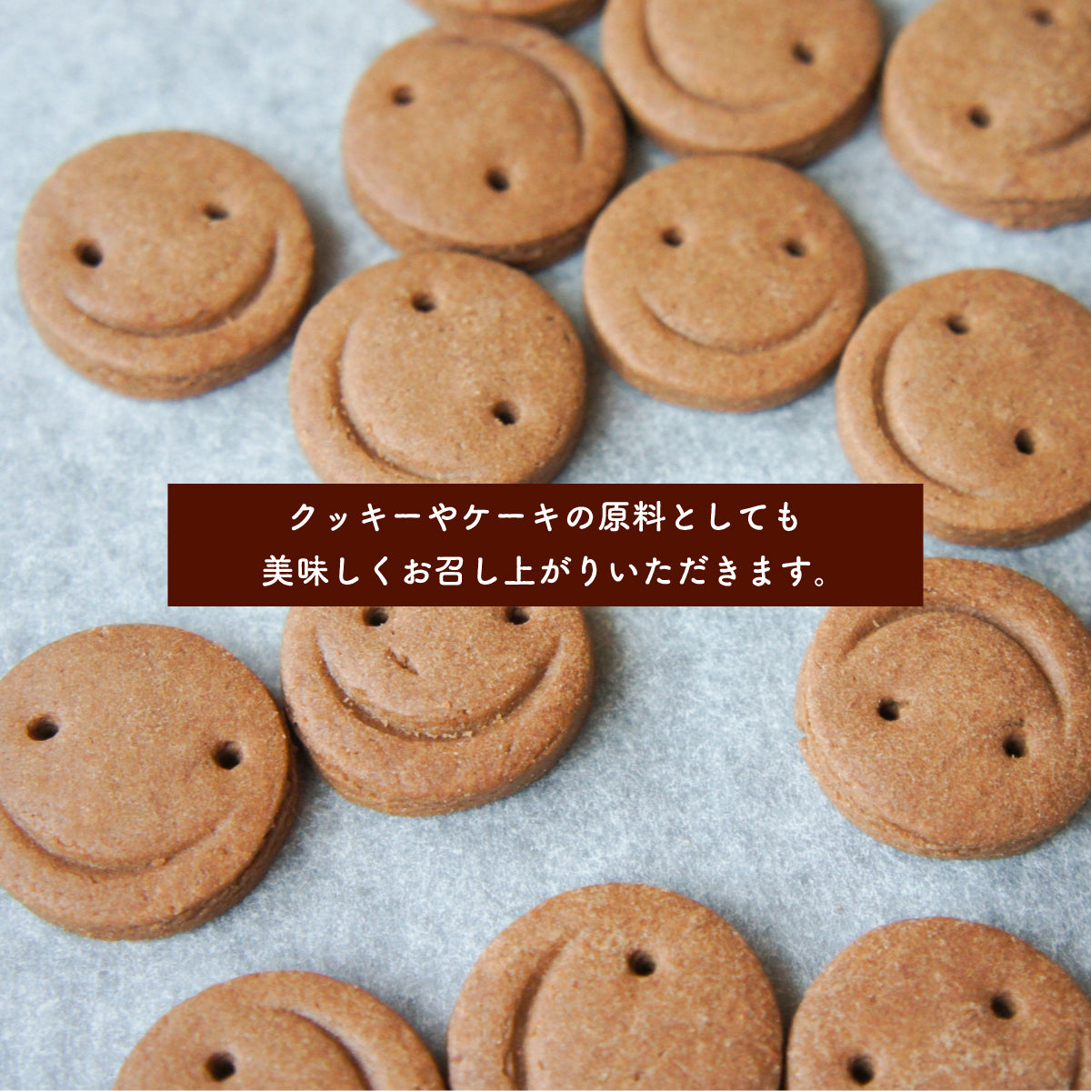 オーガニックしょうがココア100g×3