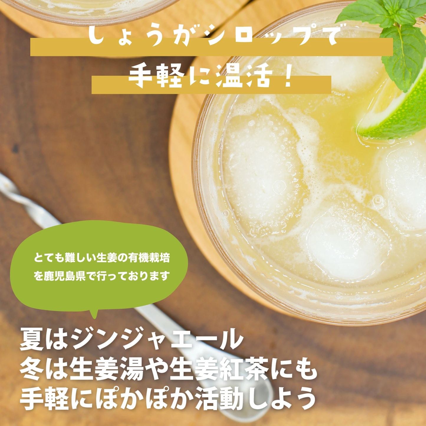 南国黄金しょうがシロップ 210gx3