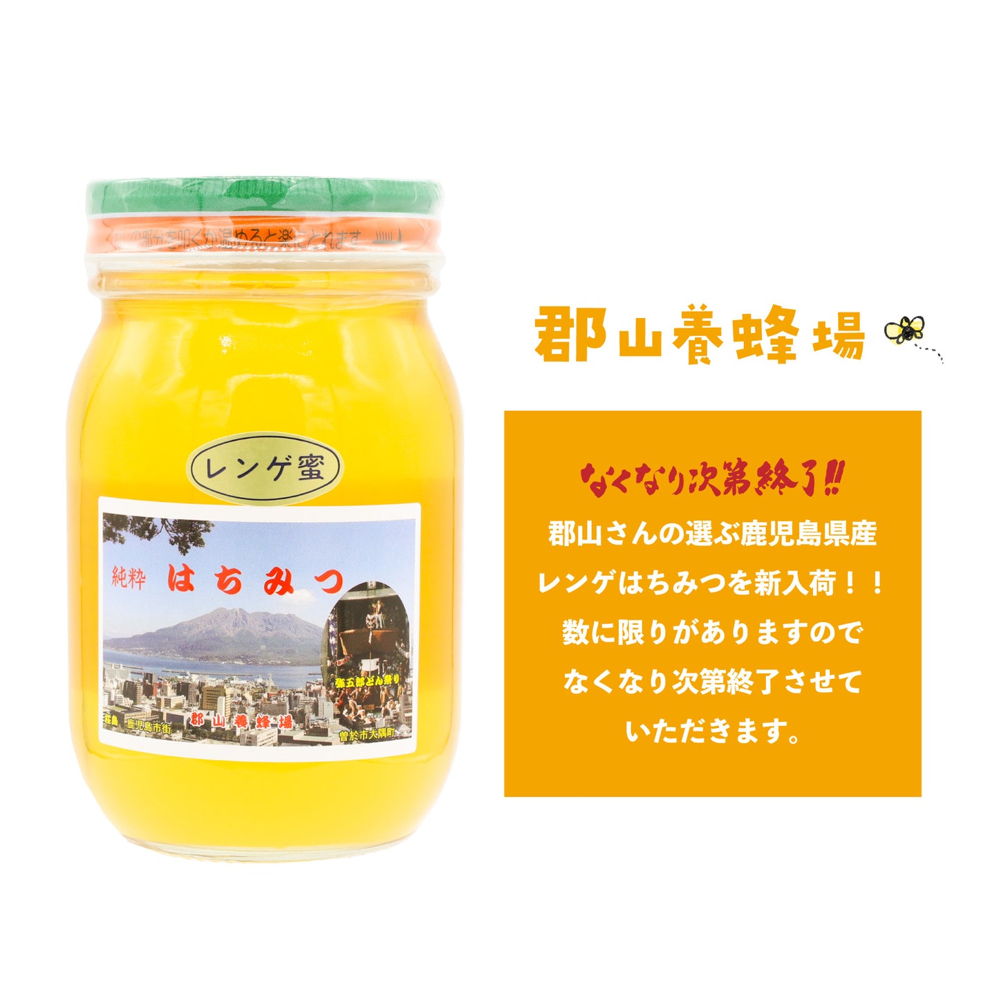 鹿児島県産レンゲはちみつ 600g 鹿児島の養蜂家が選ぶ国産はちみつ 売り切れ次第終了
