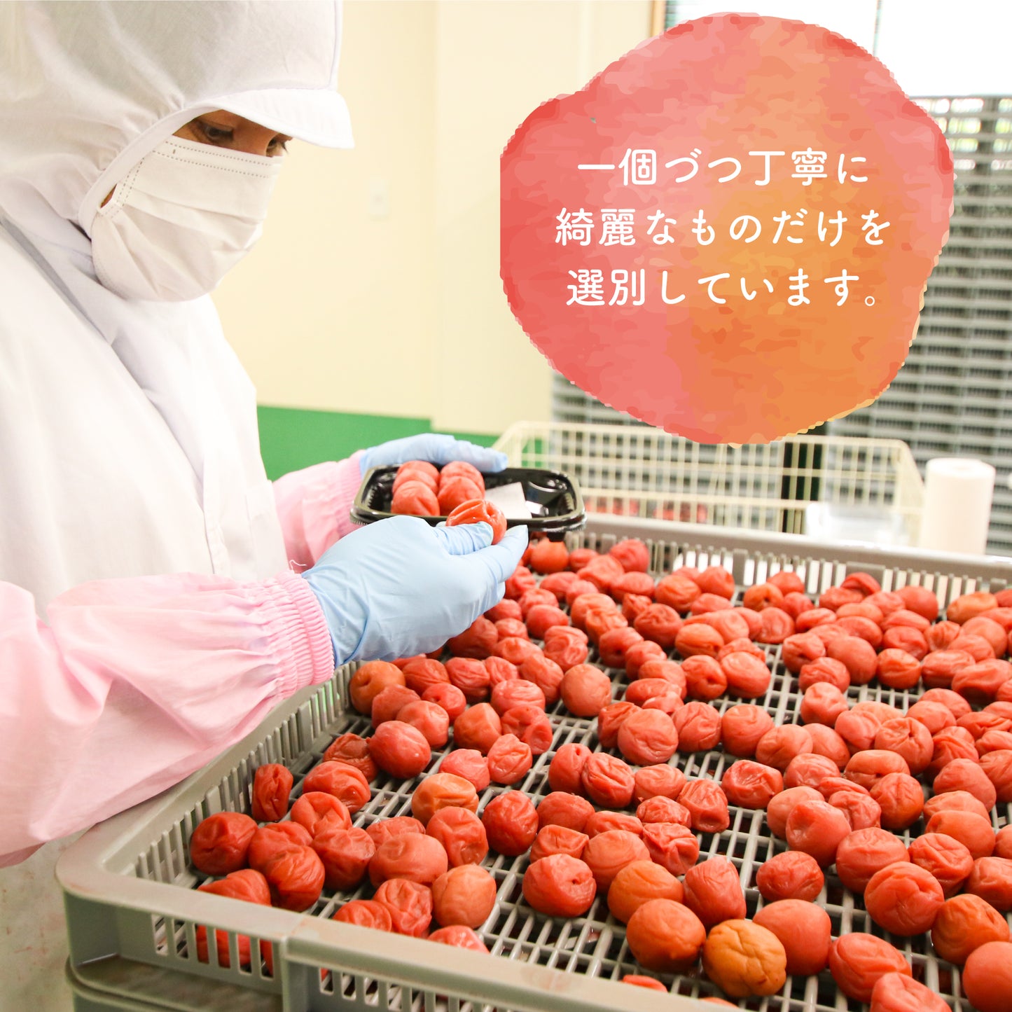 かのや南高梅 はちみつ漬け 梅干し 230g 鹿児島県産南高梅使用