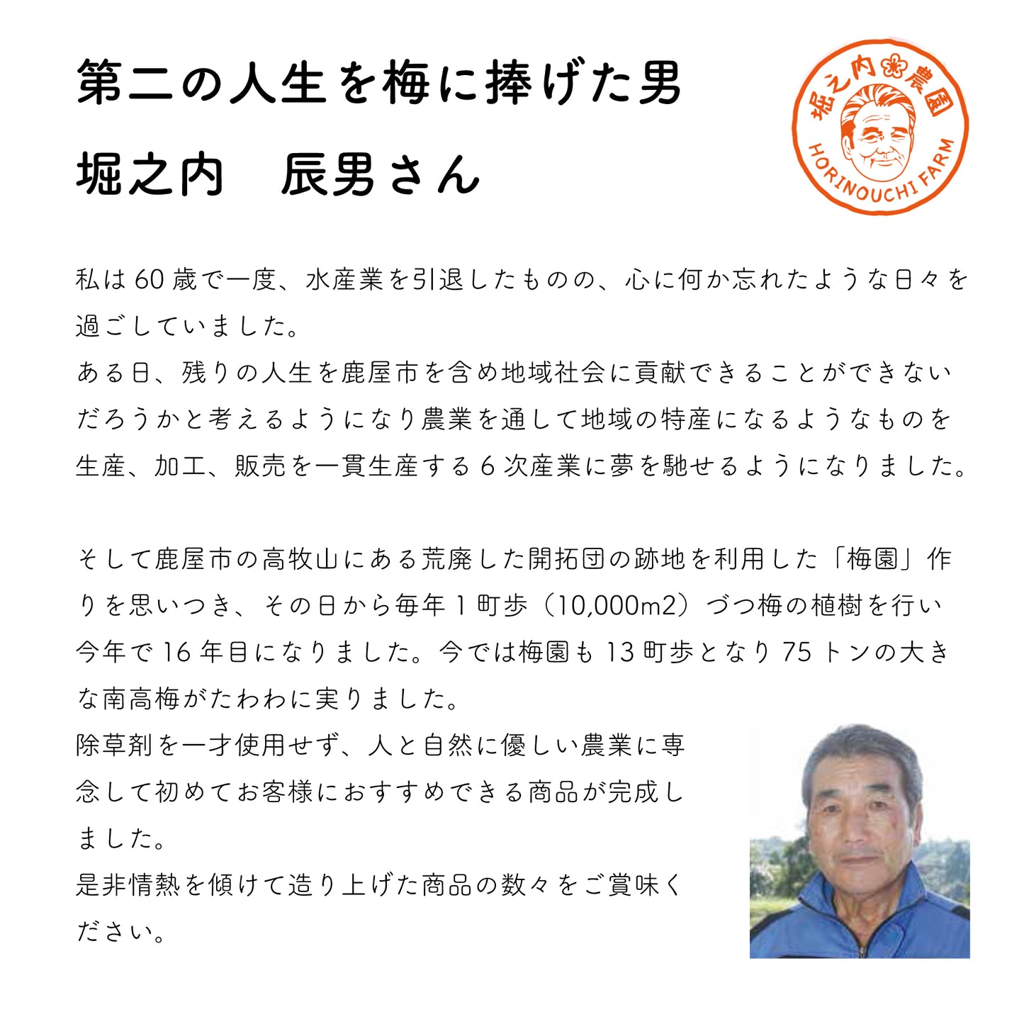 かのや南高梅 はちみつ漬け 梅干し 230g 鹿児島県産南高梅使用