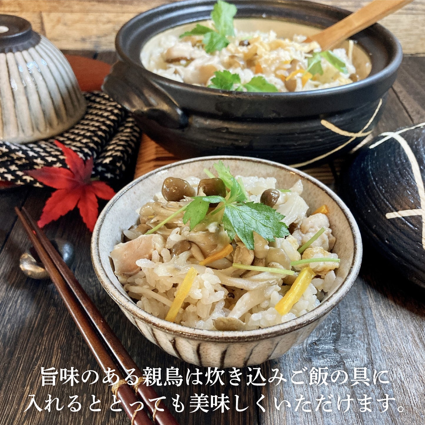 薩摩名物鳥刺し(ムネ)500g(250gx2)