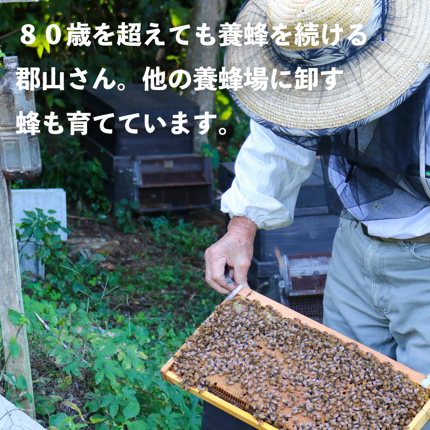 鹿児島の養蜂家が選ぶ 国産アカシアはちみつ 200g
