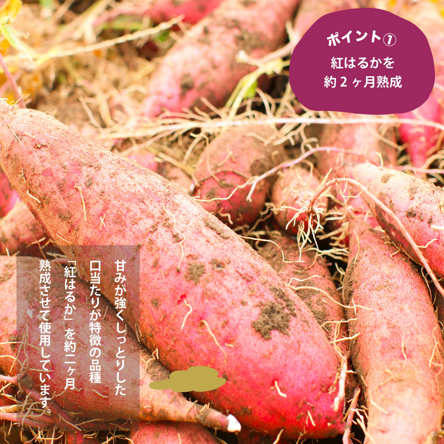 鹿児島県産熟成紅はるか使用 紅はるか丸干し 干し芋 220g