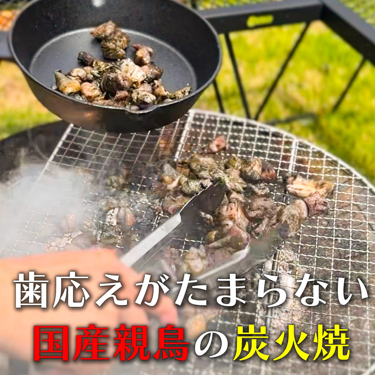 親鳥 炭火焼 500g(100gx5p) 国産 親鳥 冷凍 炭火 鹿児島名物 キャンプ BBQ バーベキュー アウトドア ギフト プレゼント 父の日