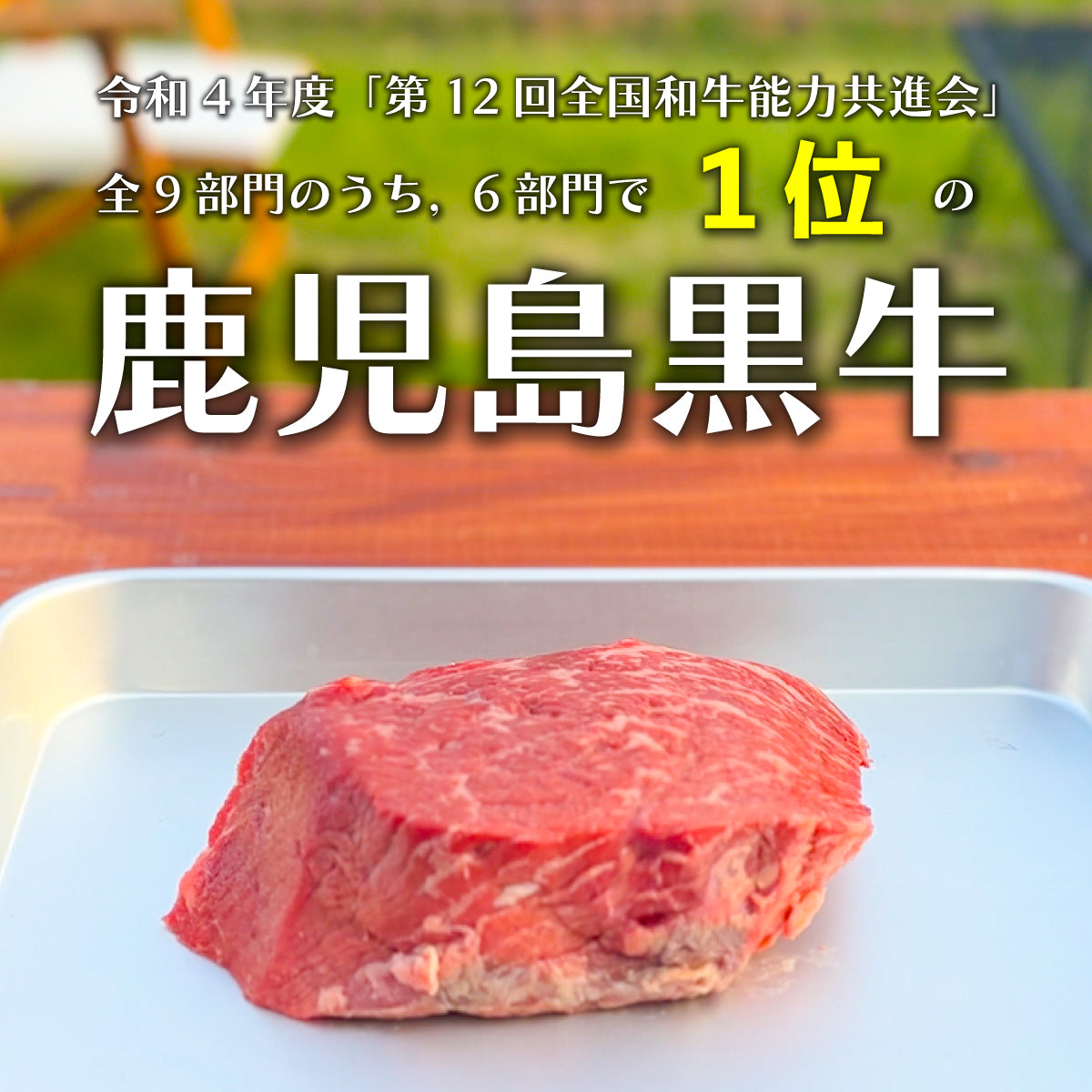鹿児島県産 A4ランク 黒毛和牛 もも ブロック 500g