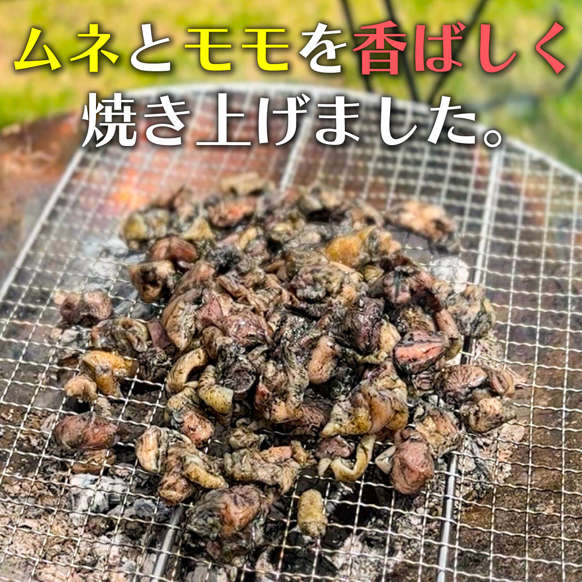 親鳥 炭火焼 500g(100gx5p) 国産 親鳥 冷凍 炭火 鹿児島名物 キャンプ BBQ バーベキュー アウトドア ギフト プレゼント 父の日