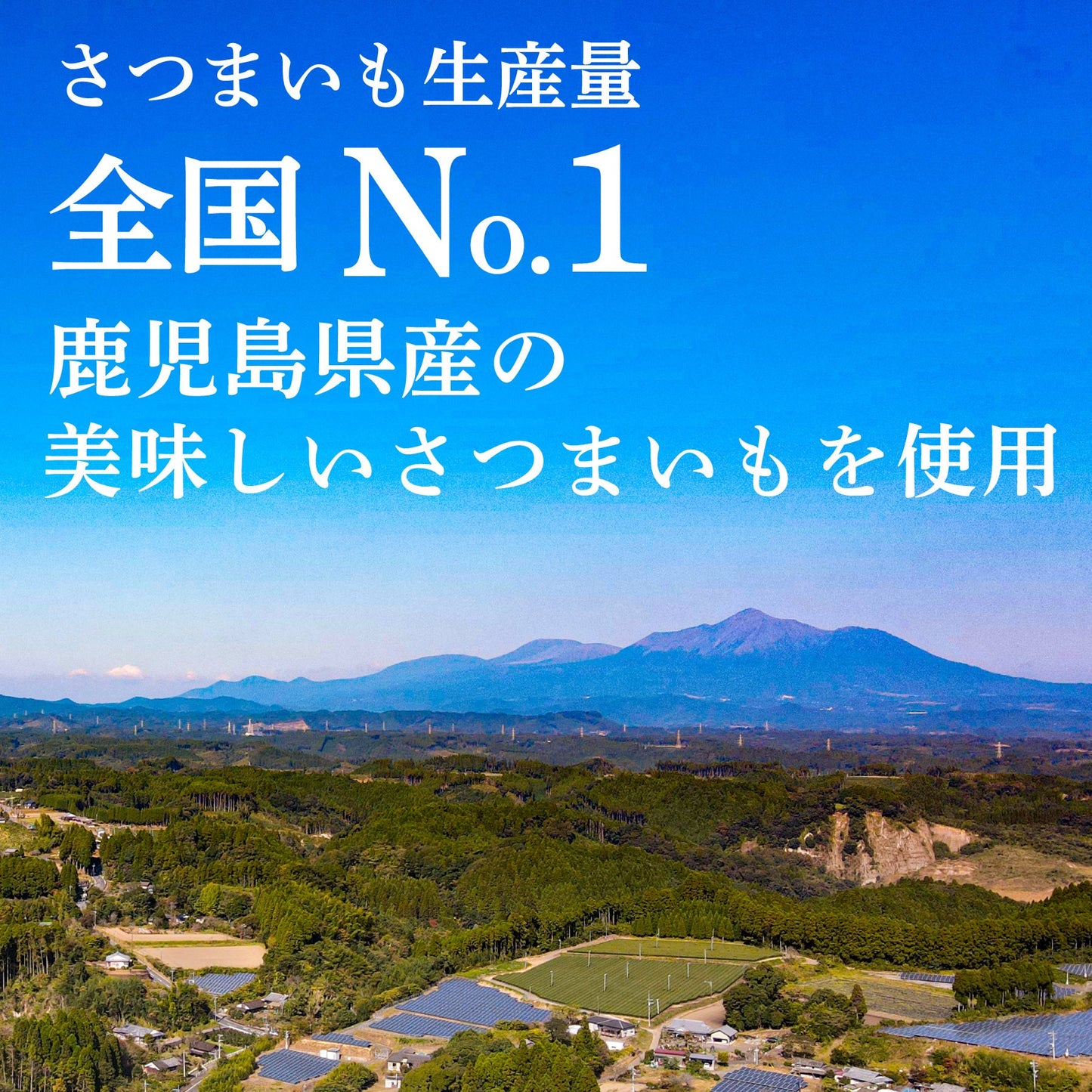 さつまはやとのほしいもくん 200g 紅はるか (2パック入り) 鹿児島県産 平干し