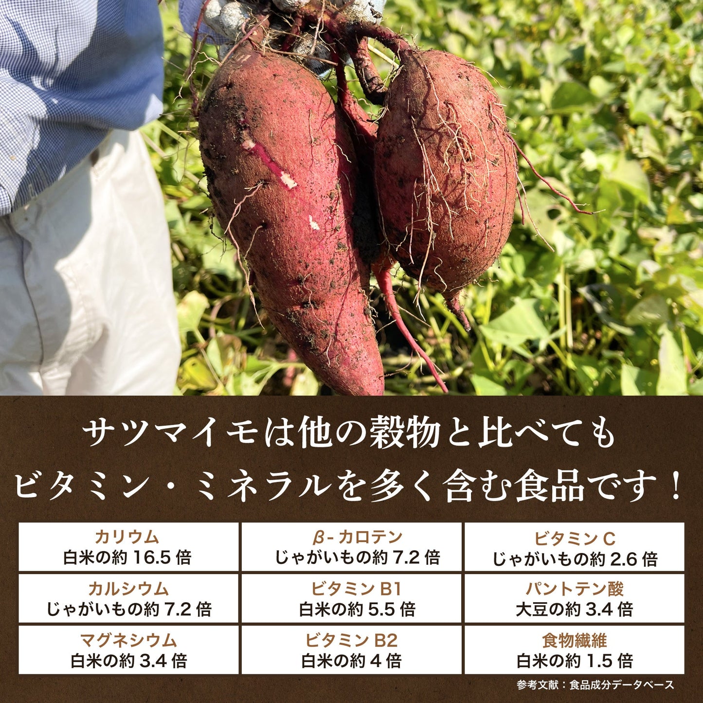 さつまはやとのほしいもくん 200g 紅はるか (2パック入り) 鹿児島県産 平干し