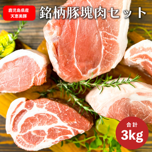 鹿児島 天恵美豚 ガツ盛り BBQ ブロック 塊肉 セット 3kg 真空パック入り（ バラ：500g ロース：500g  肩ロース：500g モモ:1kg ウデ：500g）