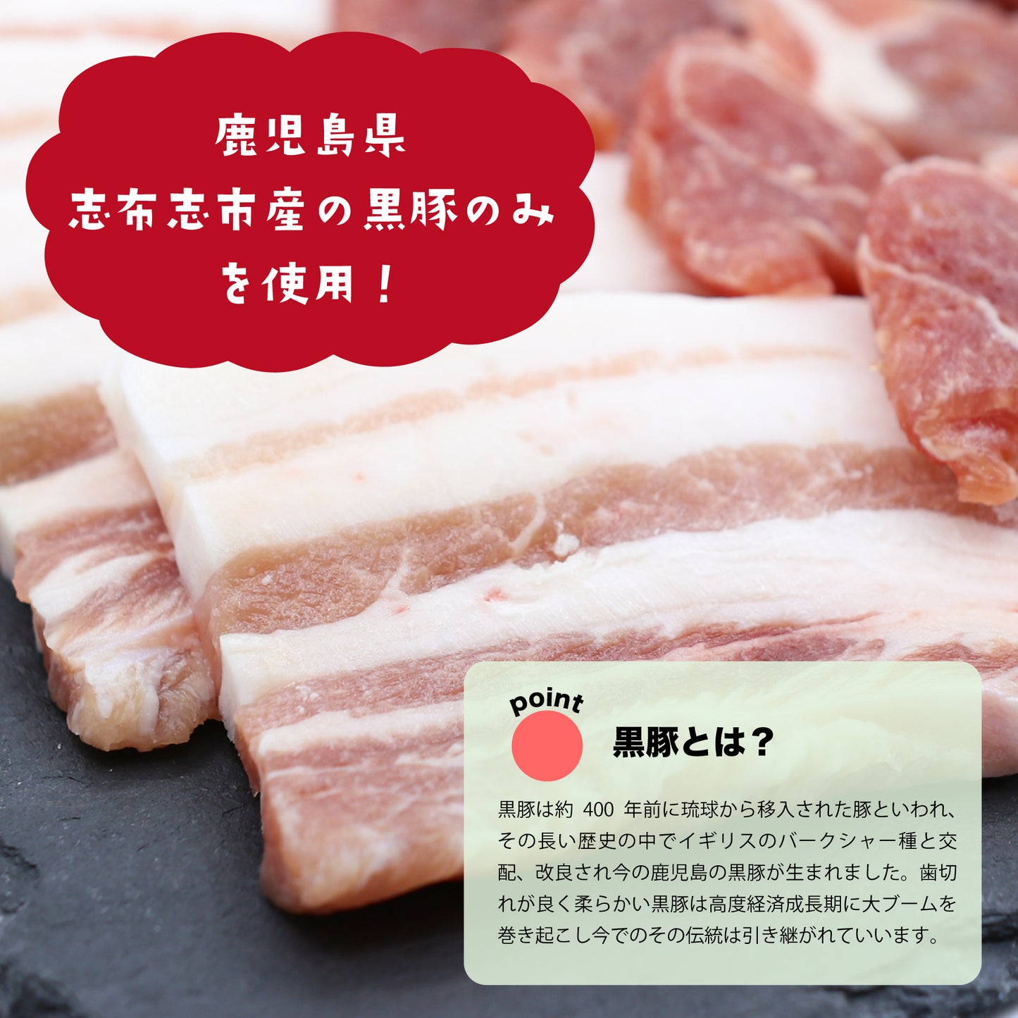 南国熊曽黒豚餃子60個【訳あり】 業務用