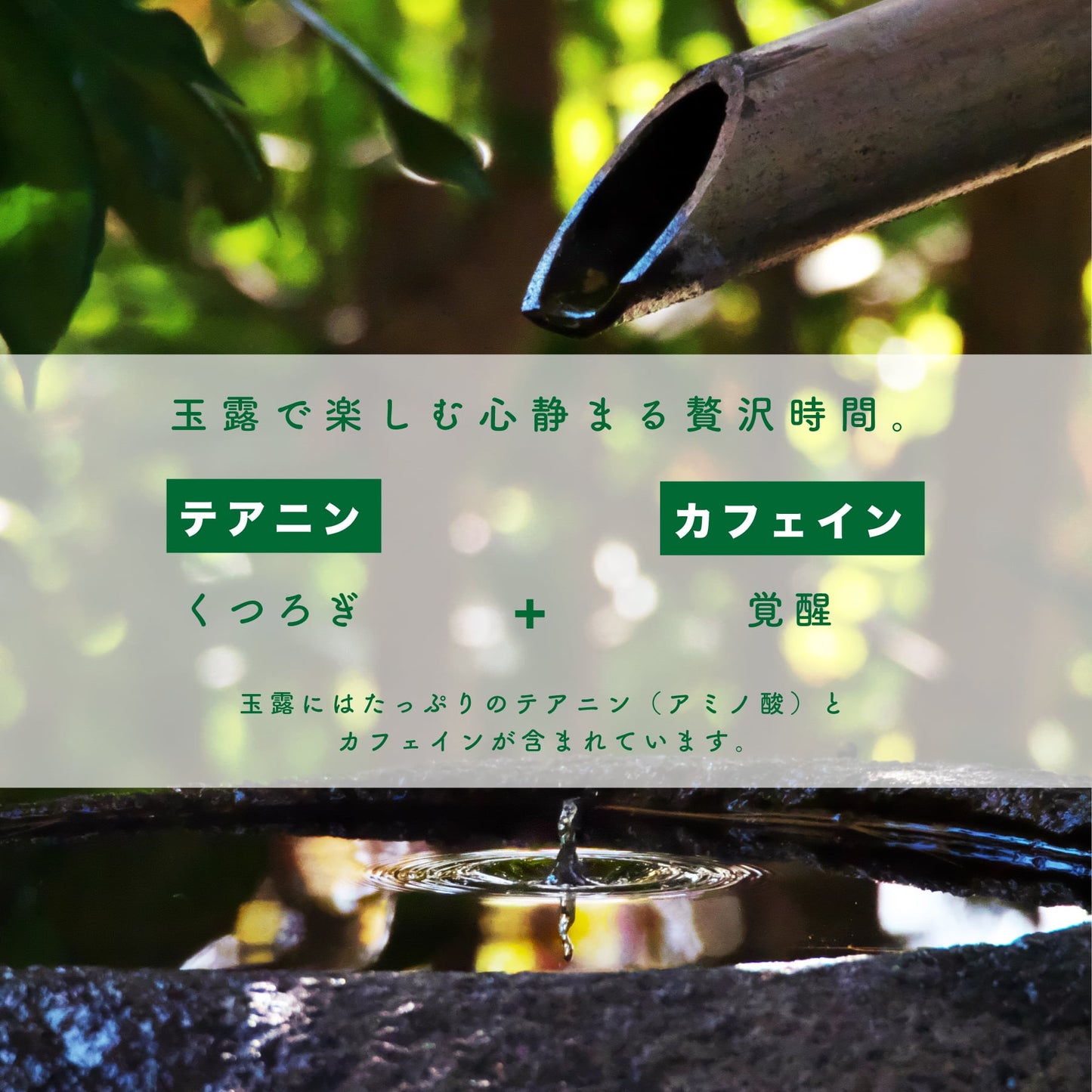 【普通】坂元園有機玉露 茶娘 100g 鹿児島県産