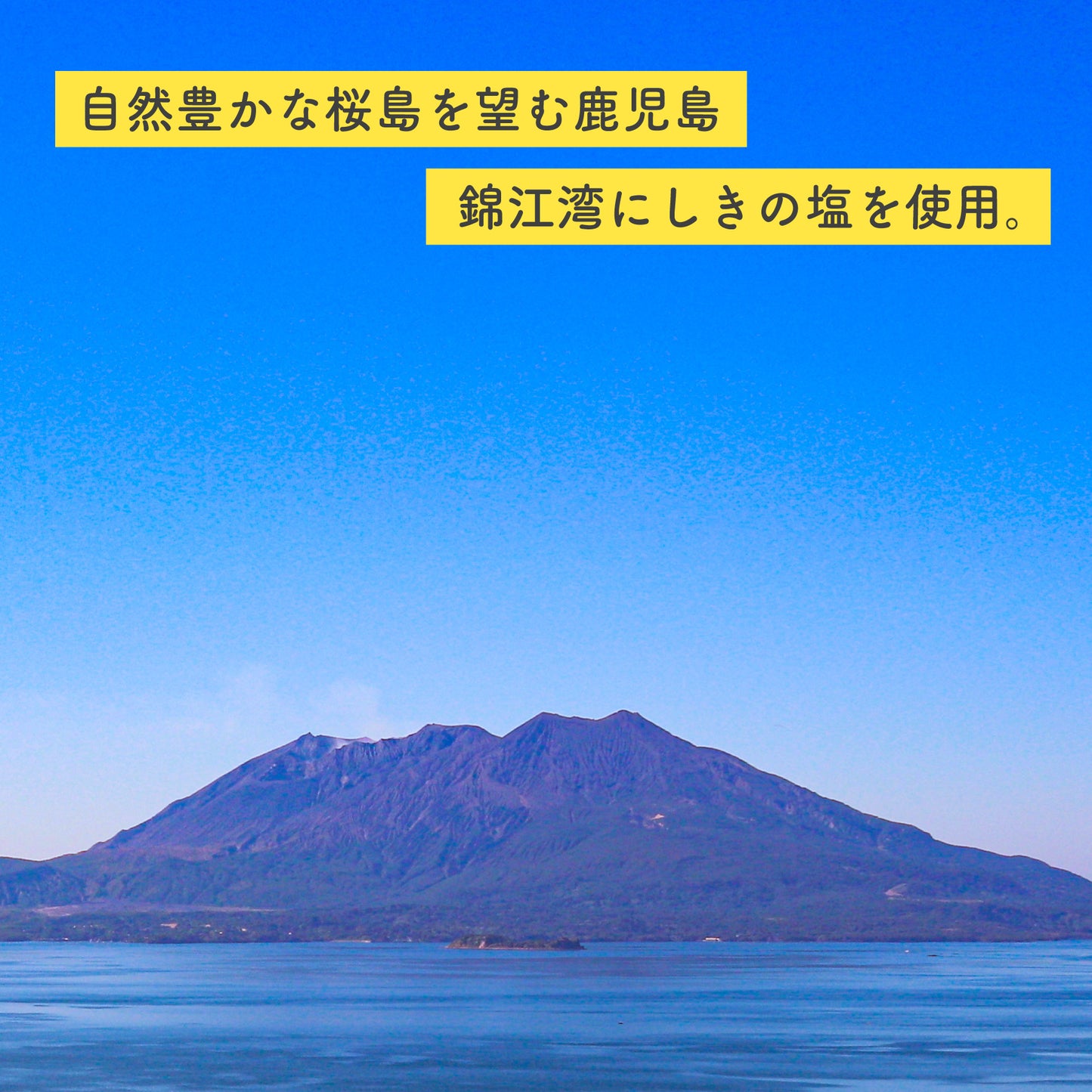 塩バナナチップス 140gx10 鹿児島錦江湾の塩 ココナッツオイル使用
