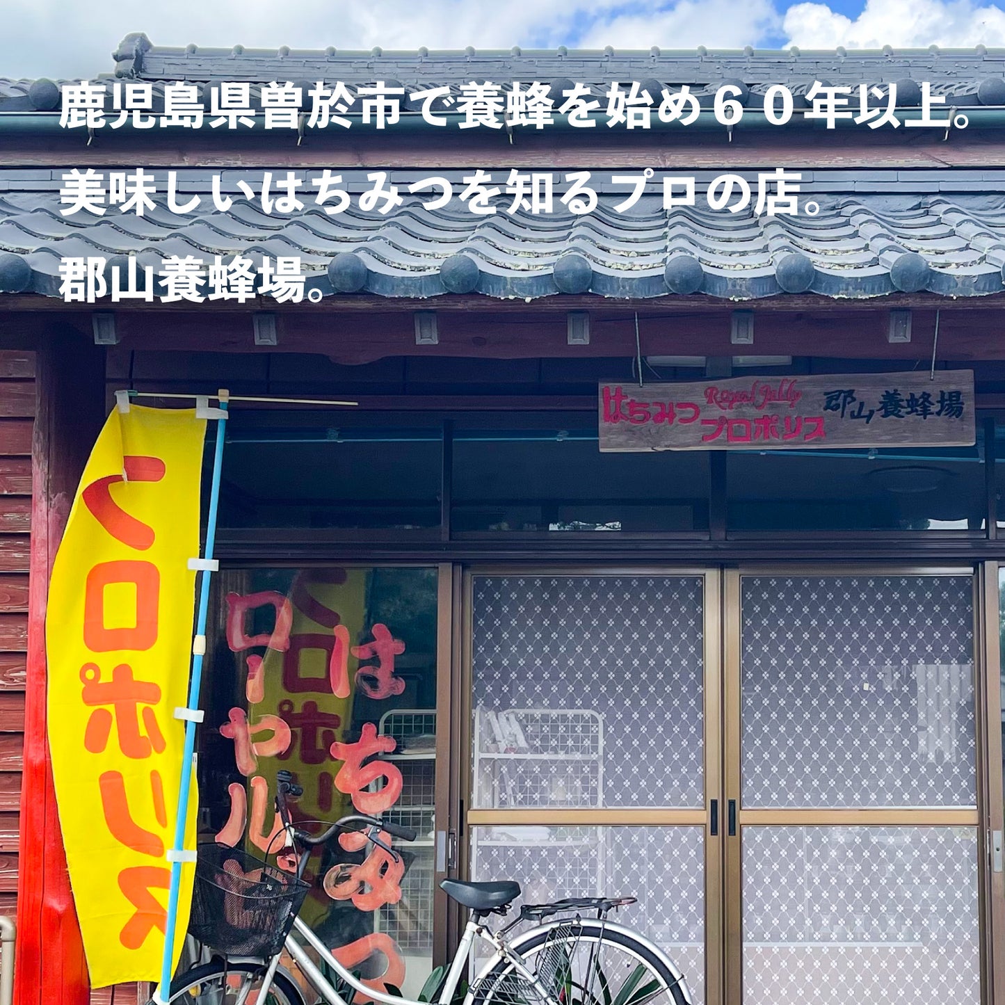 鹿児島県産レンゲはちみつ 600g 鹿児島の養蜂家が選ぶ国産はちみつ 売り切れ次第終了